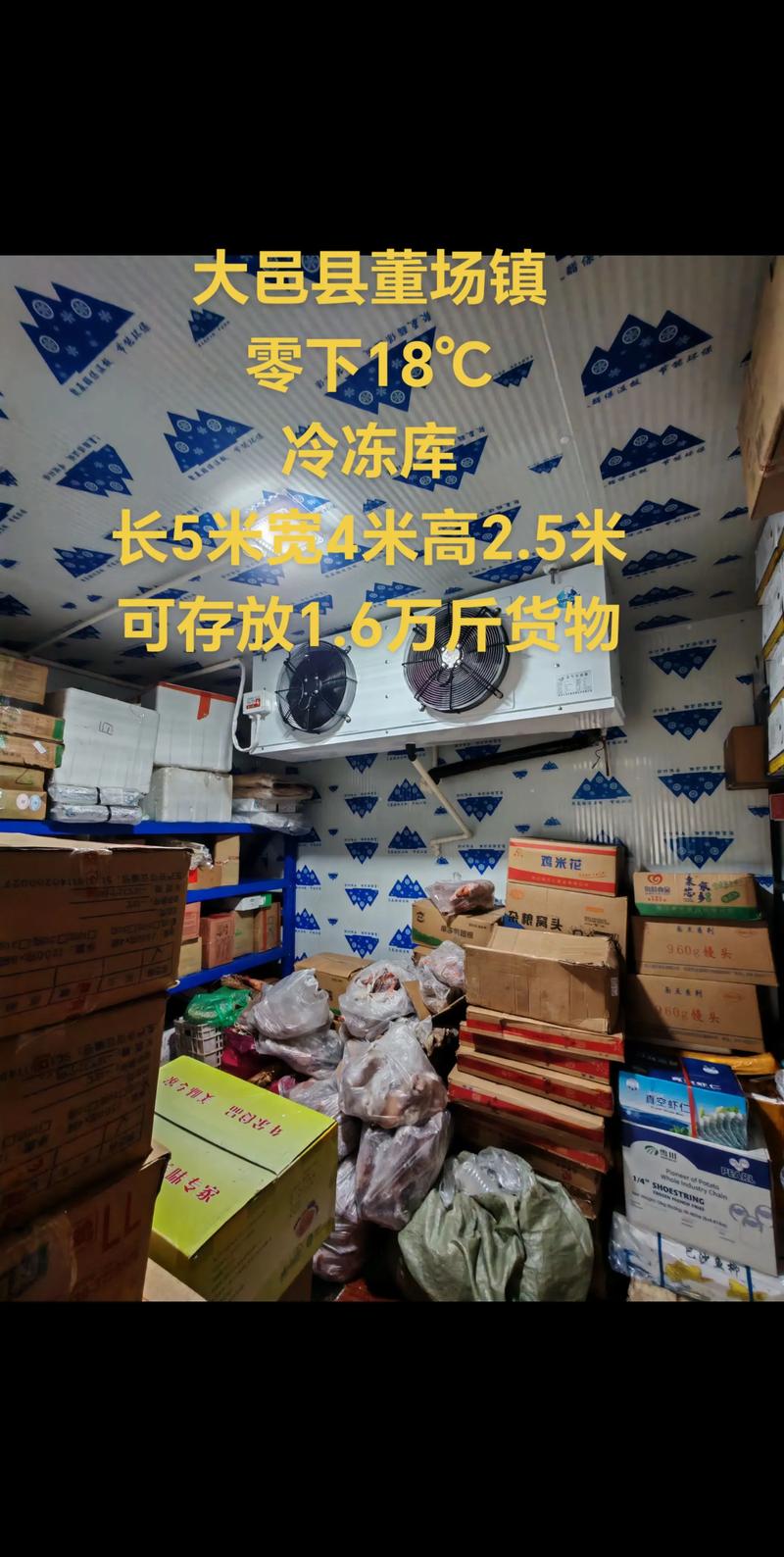 冷链物流行业在广州:一场与时间赛跑的博弈